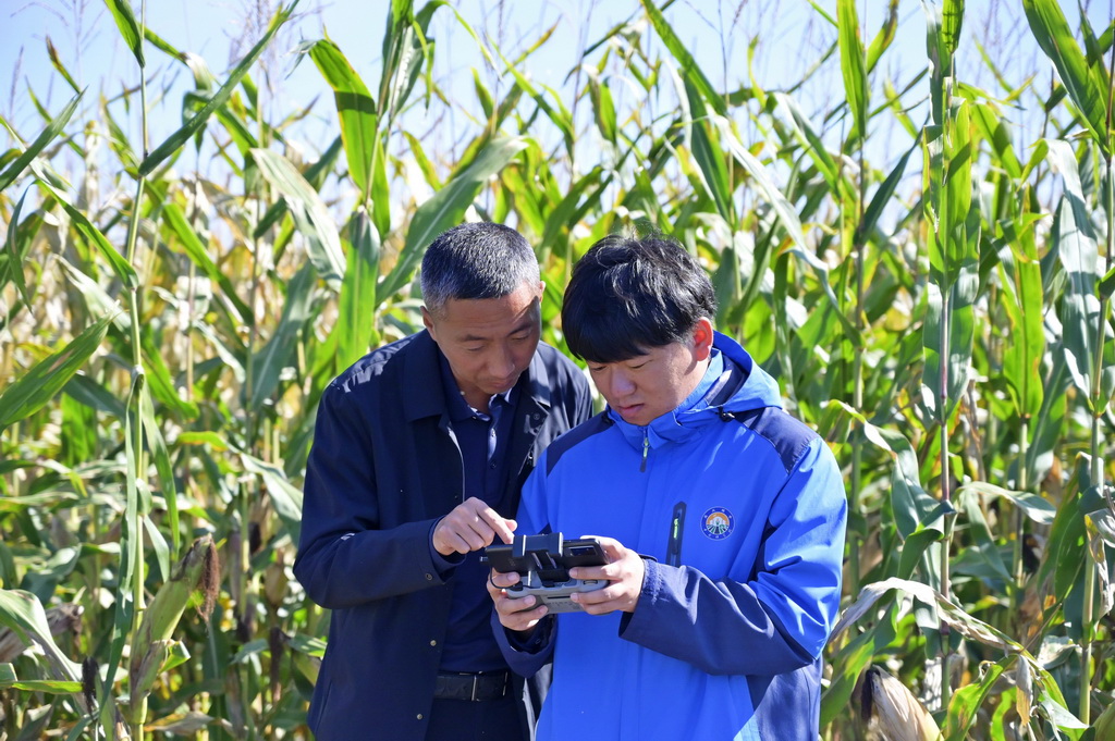 9月28日，在位于雙鴨山市的中國(guó)科學(xué)院北大荒友誼現(xiàn)代農(nóng)業(yè)實(shí)驗(yàn)站，研究人員（右）查看執(zhí)行巡田任務(wù)的無(wú)人機(jī)。