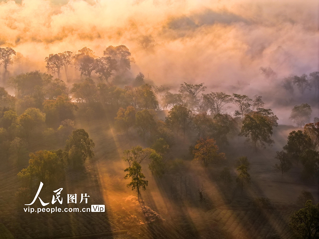 安徽黃山：鄉(xiāng)村晨景如畫【3】